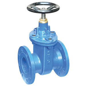 "SIR" Resilient Seat Gate Valve D.I